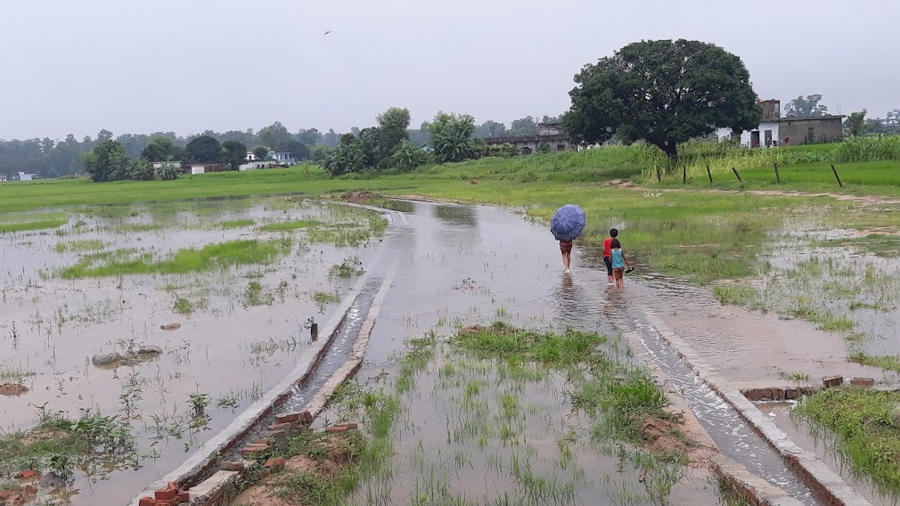 धनगढीका अधिकांस क्षेत्र डुवान