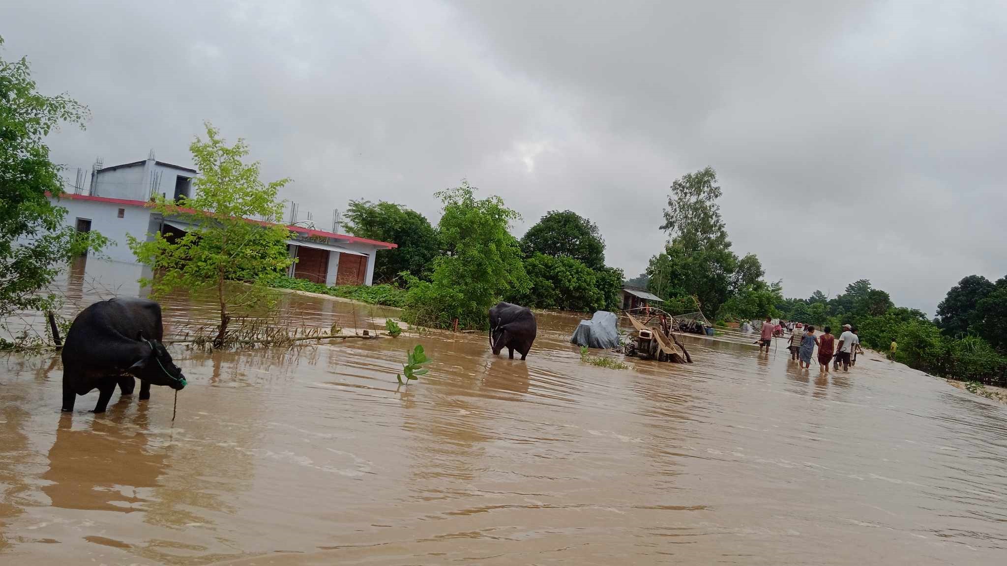 बस्तीमा बाढी, जनजीवन प्रभावित