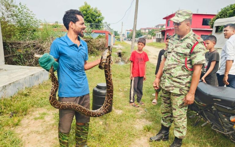 टीकापुरलाई ‘जिरो स्नेक किलिङ’ नगर बनाउन लागि परेका लक्ष्मण