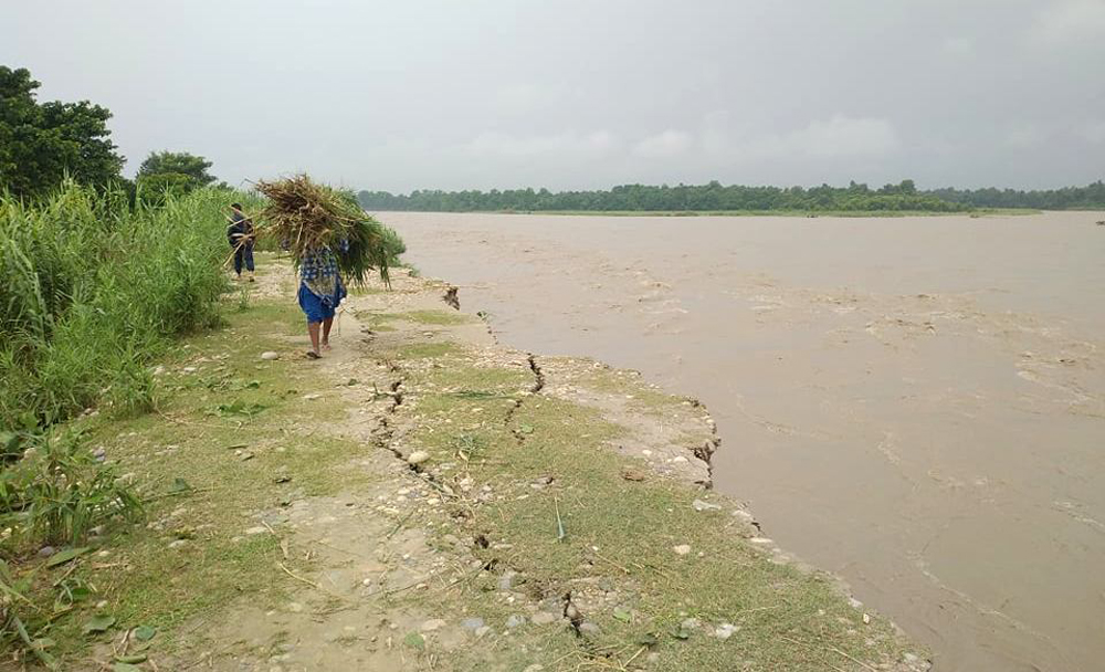 नदीले कटानले जोखिममा पर्दै लालझाडी–३ को वस्ती