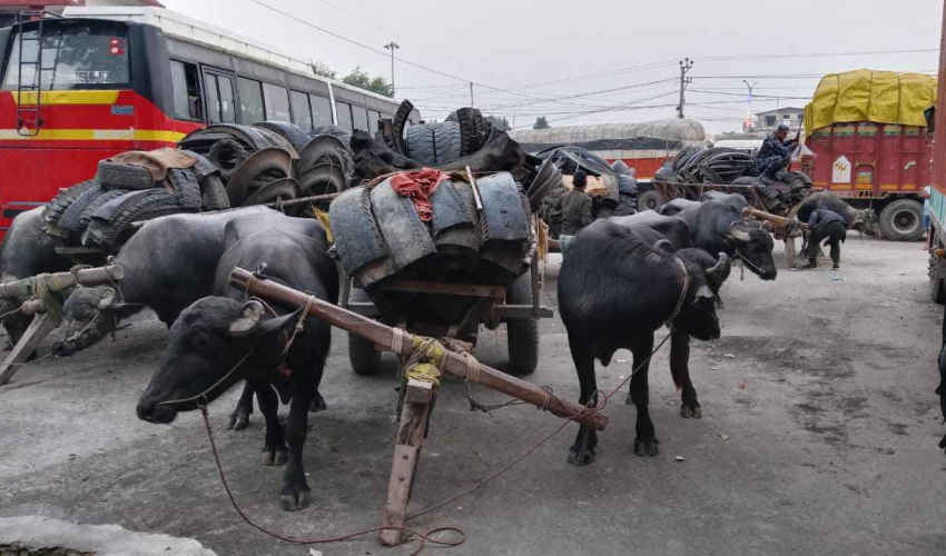 राँगागाडासहित १४ लाखको अवैध सामान बरामद